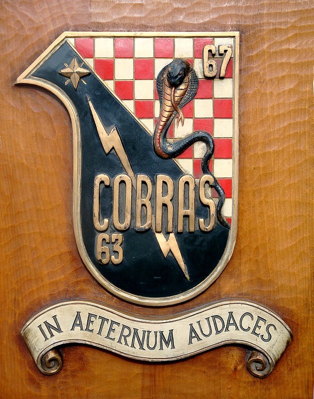 Escarapela de Escuadrilla COBRAS